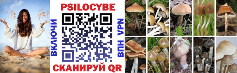 купить   Орехово-Зуево  мега маркетплейс  Псилоцибиновые грибы Magic Shrooms 